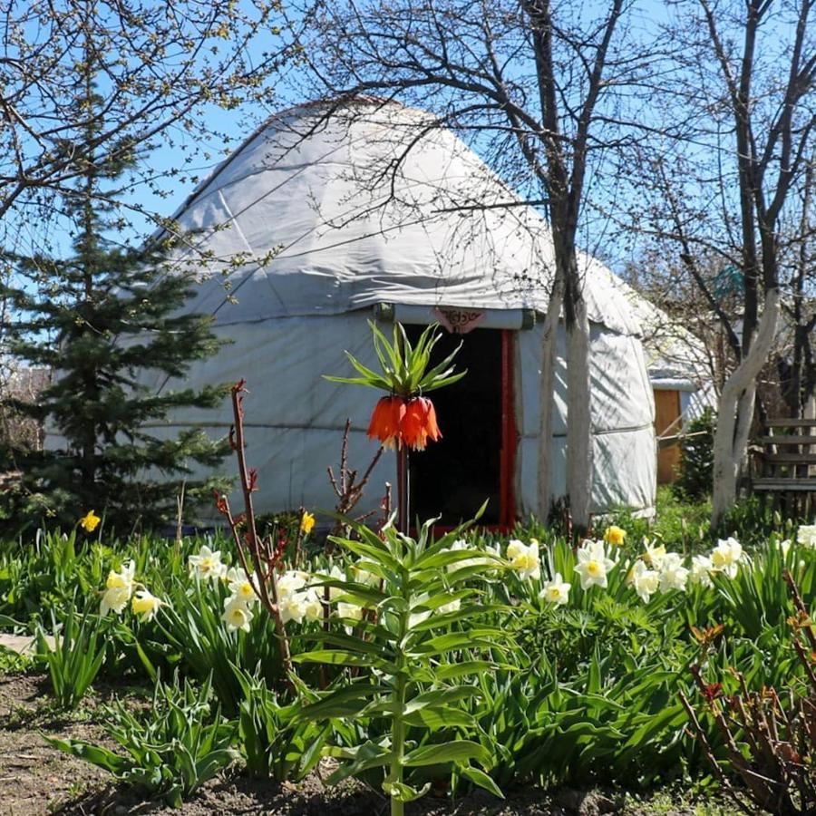 Karakol Yurt Lodge Dış mekan fotoğraf